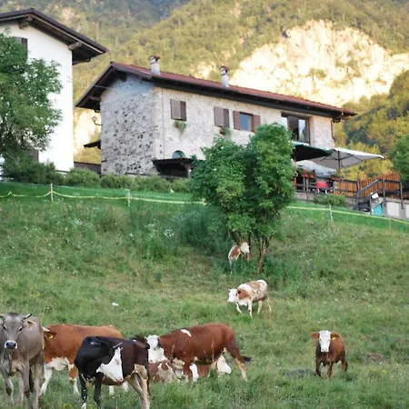 Rifugio Malga Grasia